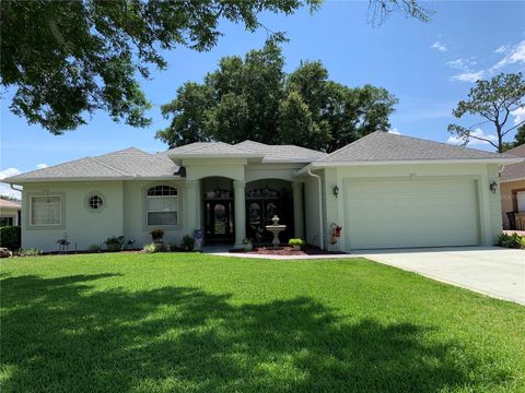 Photo of 5453 Grove Manor, Lady Lake, FL 32159 (MLS # OM724884)