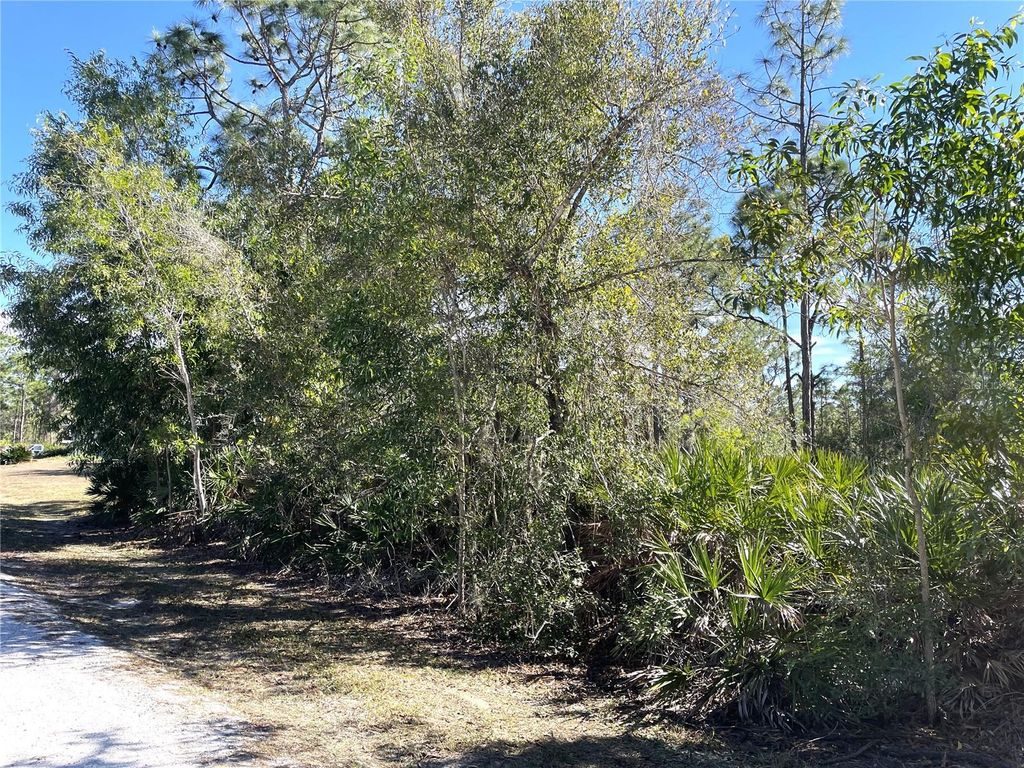 Photo of 27115 Seeger Drive, Punta Gorda, FL 33955 (MLS # C7520537)