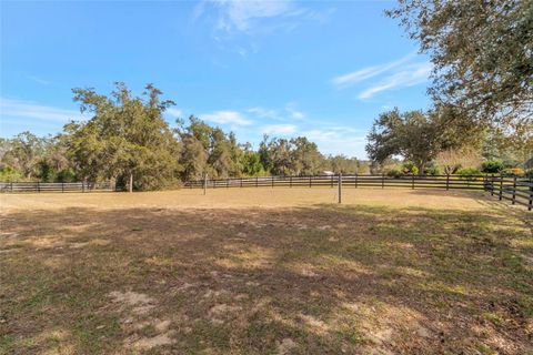 Tiny photo for 14951 Thoroughbred Lane, Montverde, FL 34756 (MLS # TB8471137)