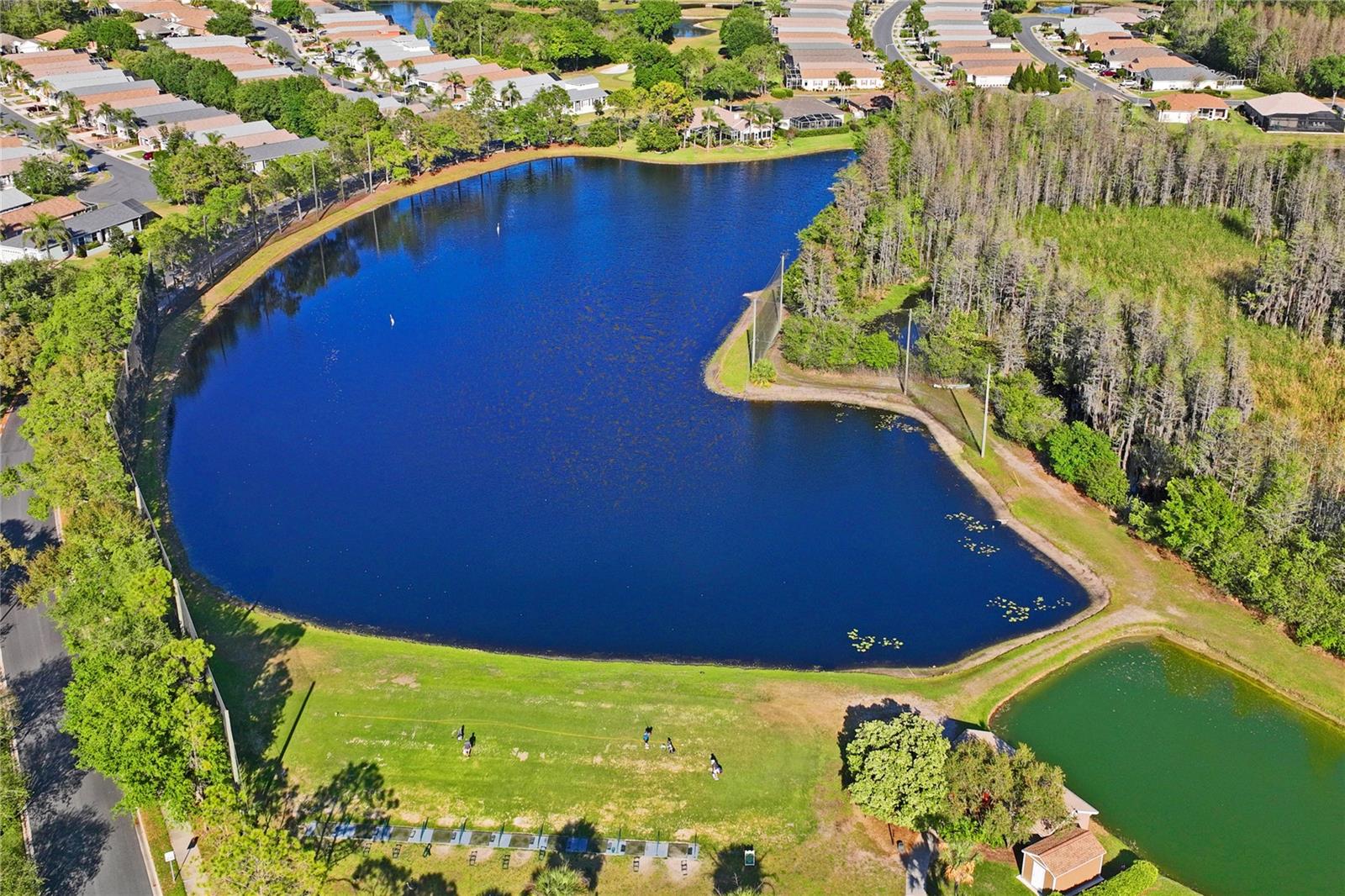 GROVES PH 01A - Residential