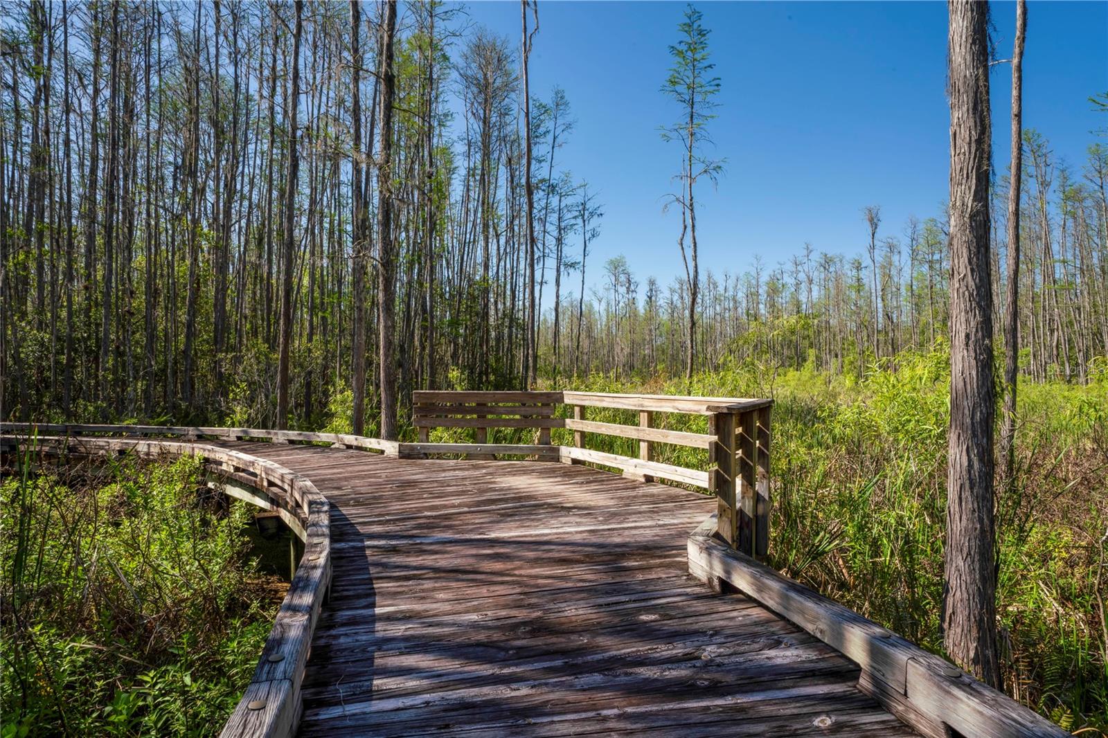 GROVES PH 01A - Residential