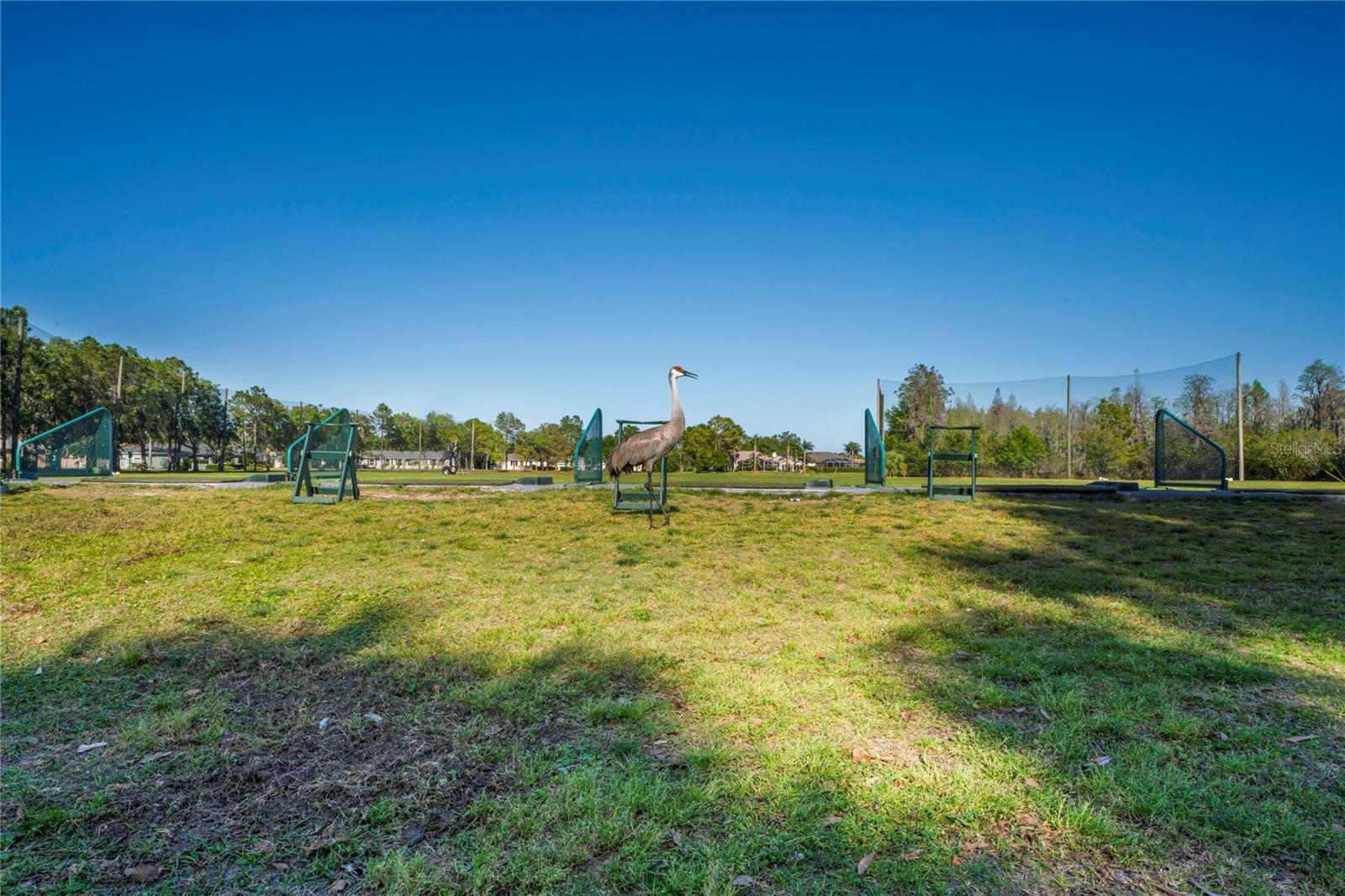 GROVES PH 01A - Residential