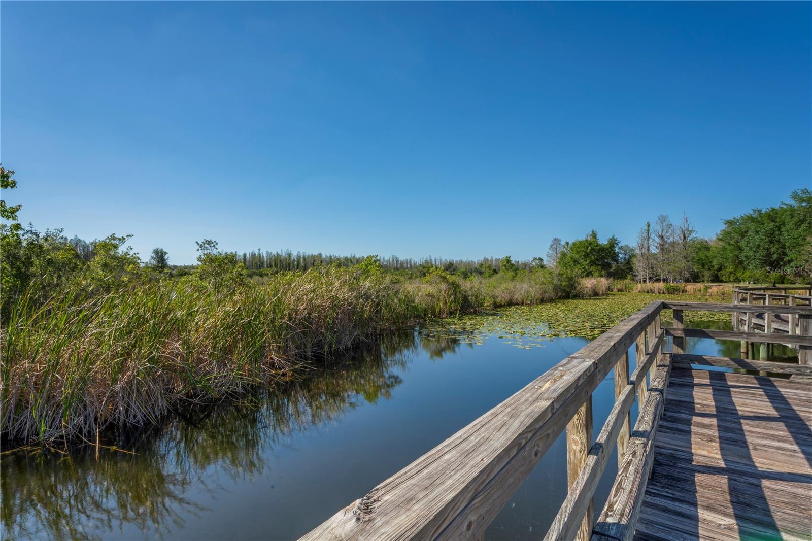 GROVES PH 01A - Residential