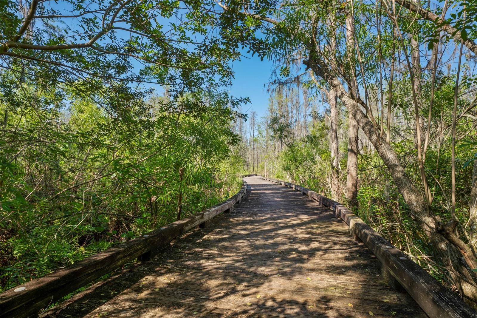 GROVES PH 01A - Residential