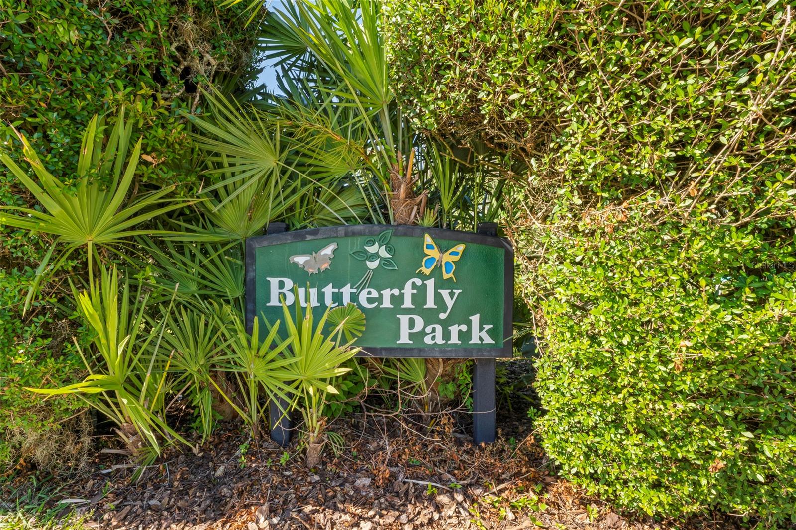 GROVES PH 01A - Residential