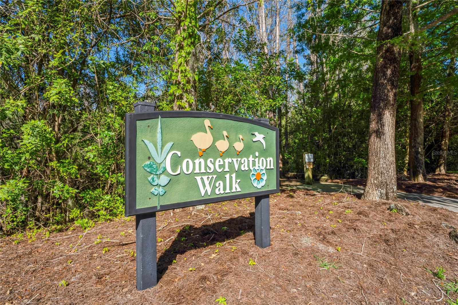 GROVES PH 01A - Residential