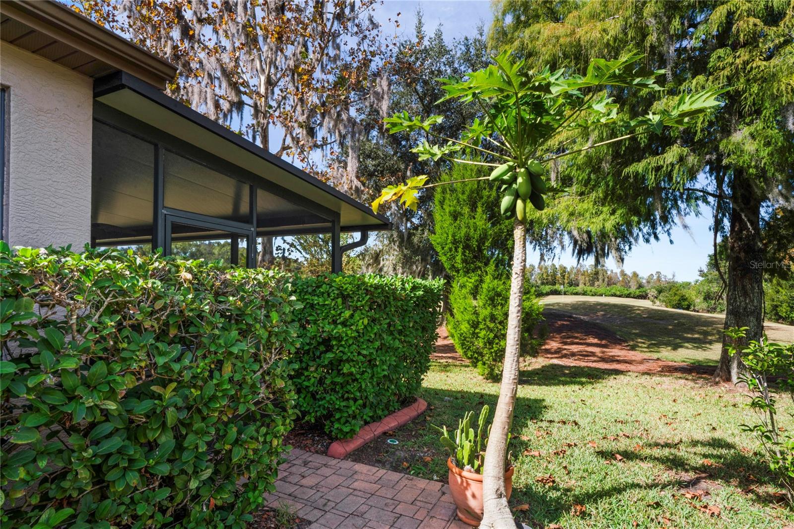 GROVES PH 01A - Residential