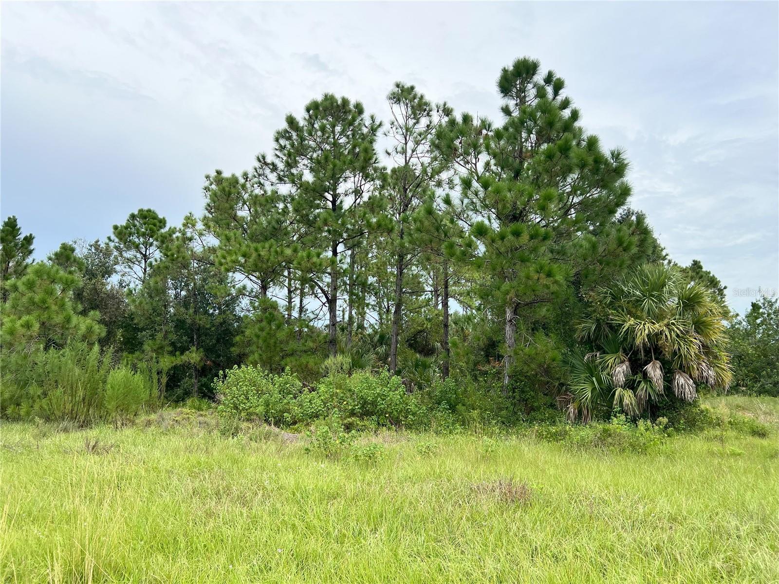Beautiful partly wooded lot that backs to open space offering peace and privacy. Centrally located, this neighborhood offers that feeling of country living while being only minutes from everything you need. Close to shopping, dining and entertainment. Enjoy the ultimate Florida lifestyle with golf, fishing, boating and world famous Gulf beaches just minutes away! Seller has additional lot on Foxhall Rd available also, MLS A4663514.