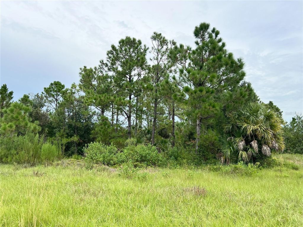 Photo of Blackwood Circle, North Port, FL 34288 (MLS # A4663494)