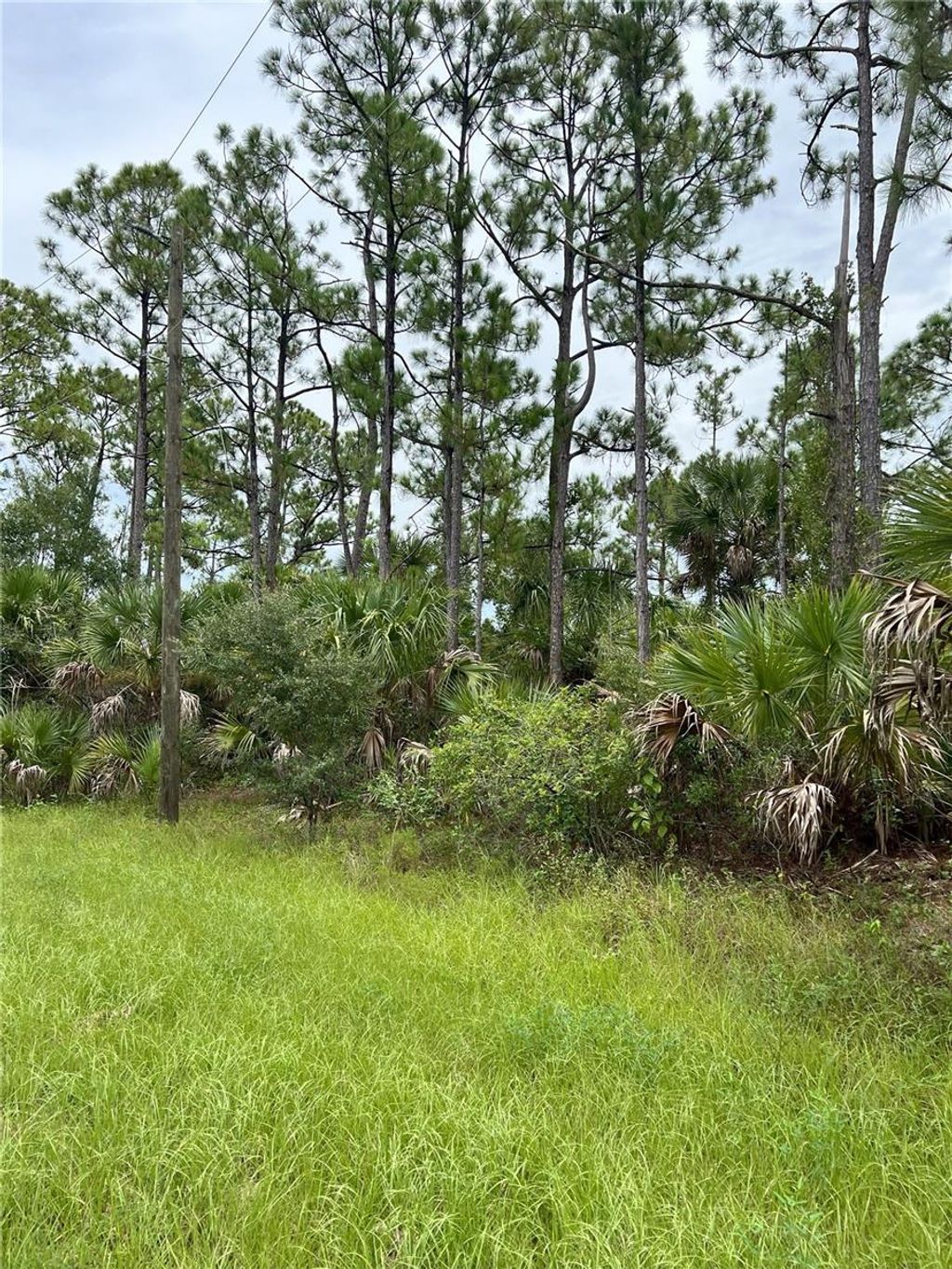 Photo of Blackwood Circle, North Port, FL 34288 (MLS # A4663494)