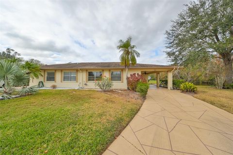 A home in SUN CITY CENTER