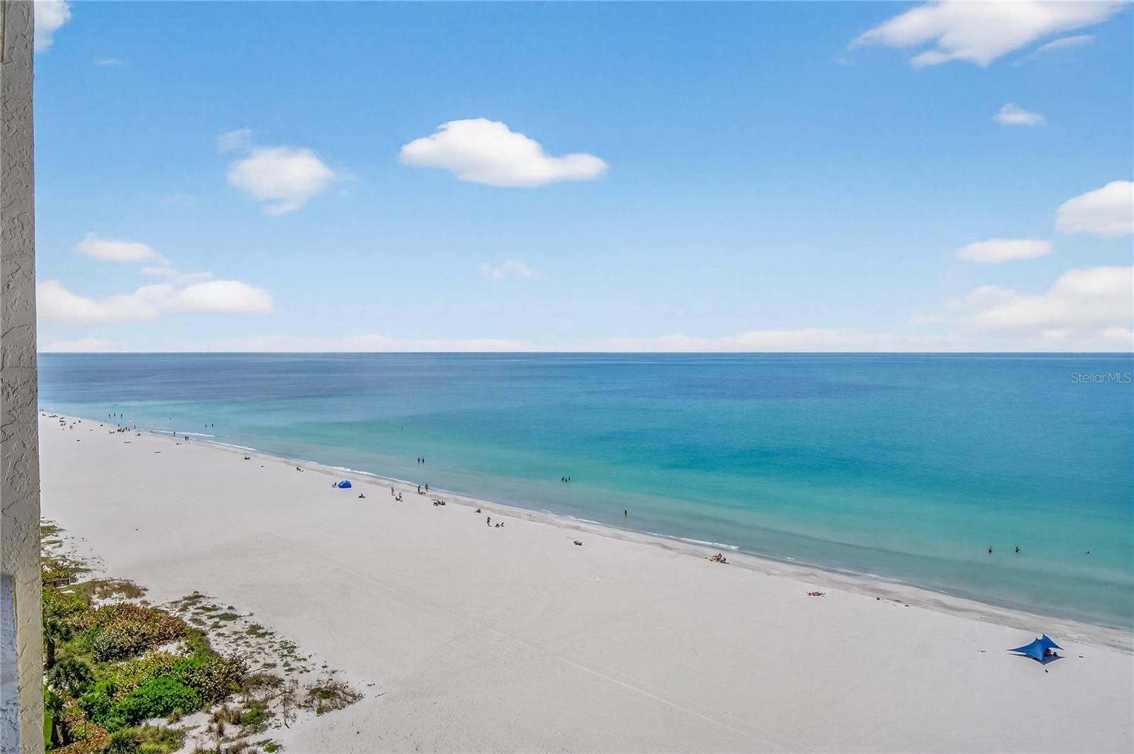 SAND KEY CONDO-SOUTH BEACH - Residential