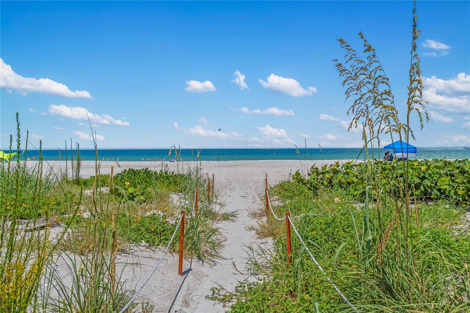 SAND KEY CONDO-SOUTH BEACH - Residential