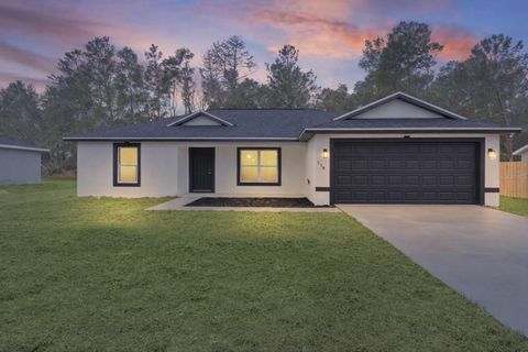 Photo of 118 Malauka Loop, Ocklawaha, FL 32179 (MLS # G5106208)