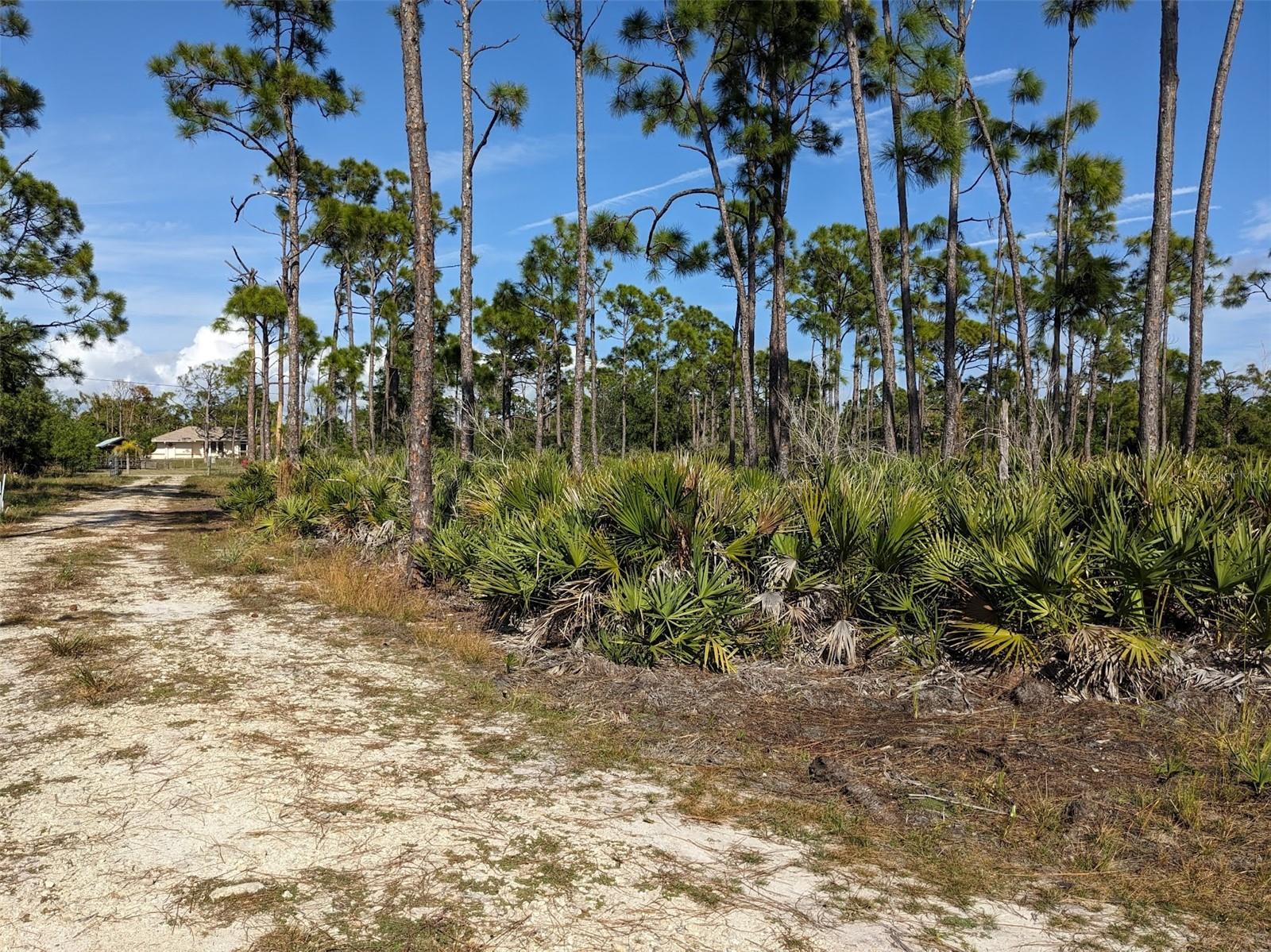 CAUGHEYS RANCHETTES - Land