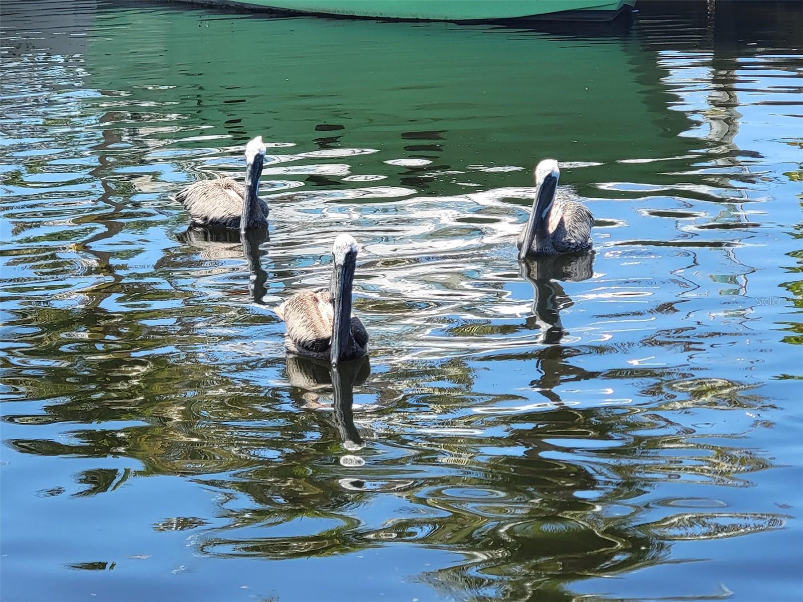 CAUGHEYS RANCHETTES - Land