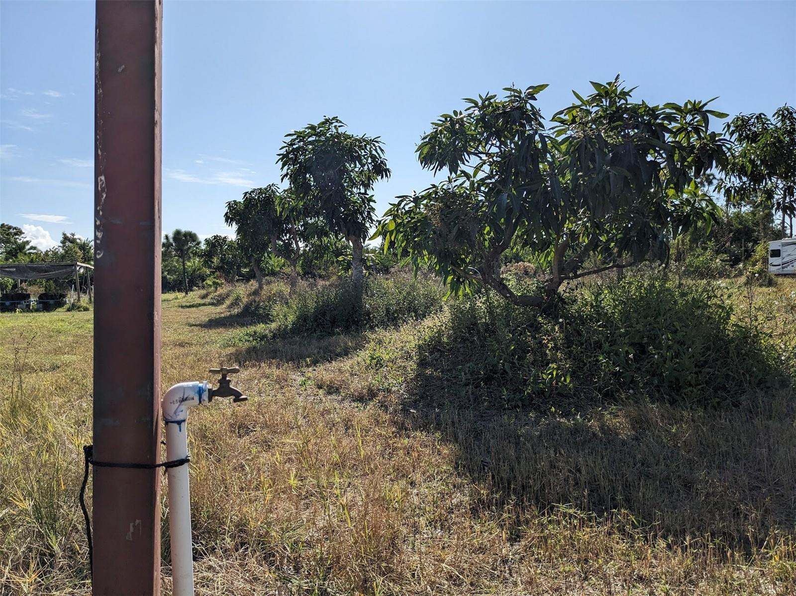 CAUGHEYS RANCHETTES - Land