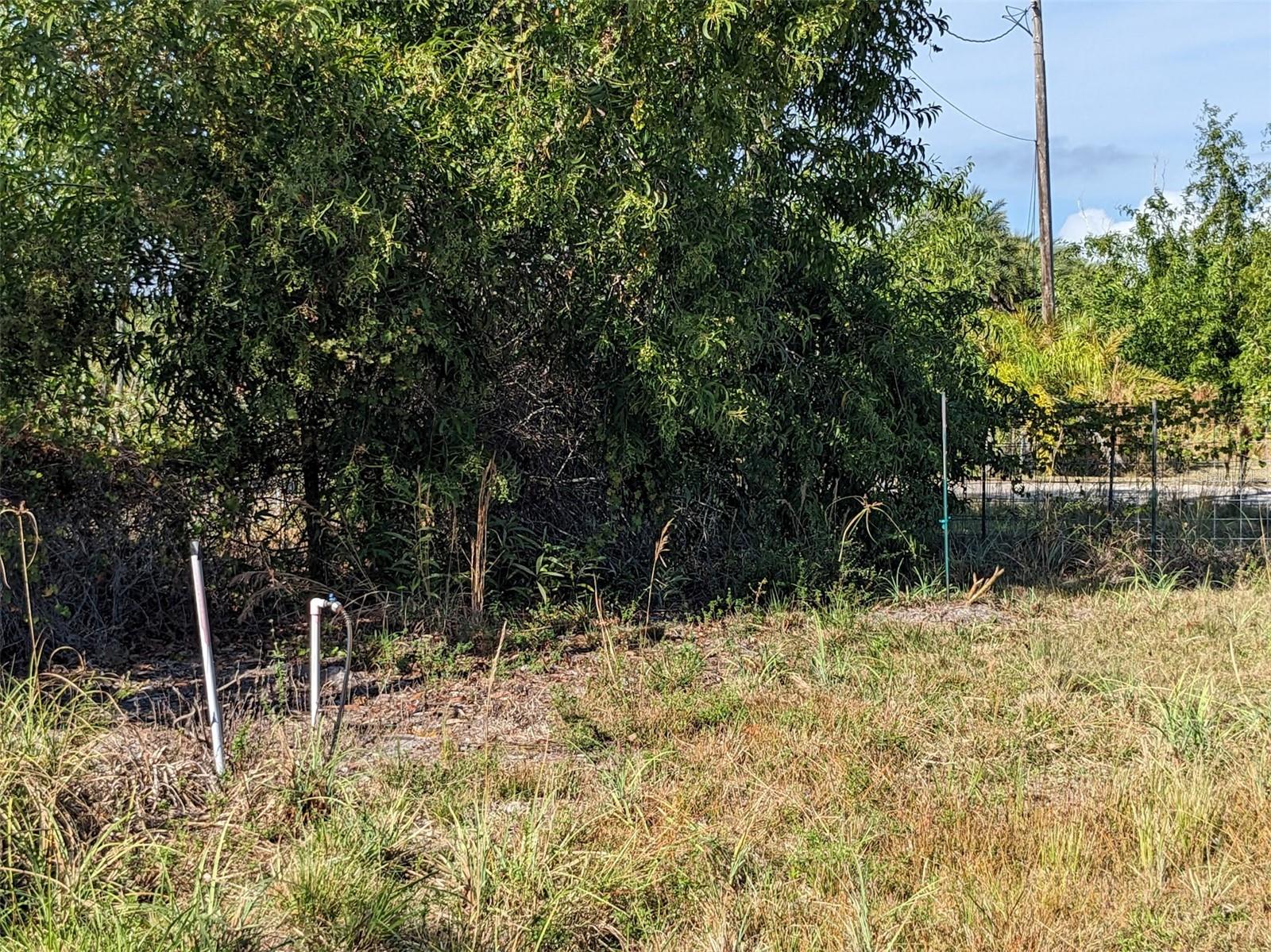 CAUGHEYS RANCHETTES - Land