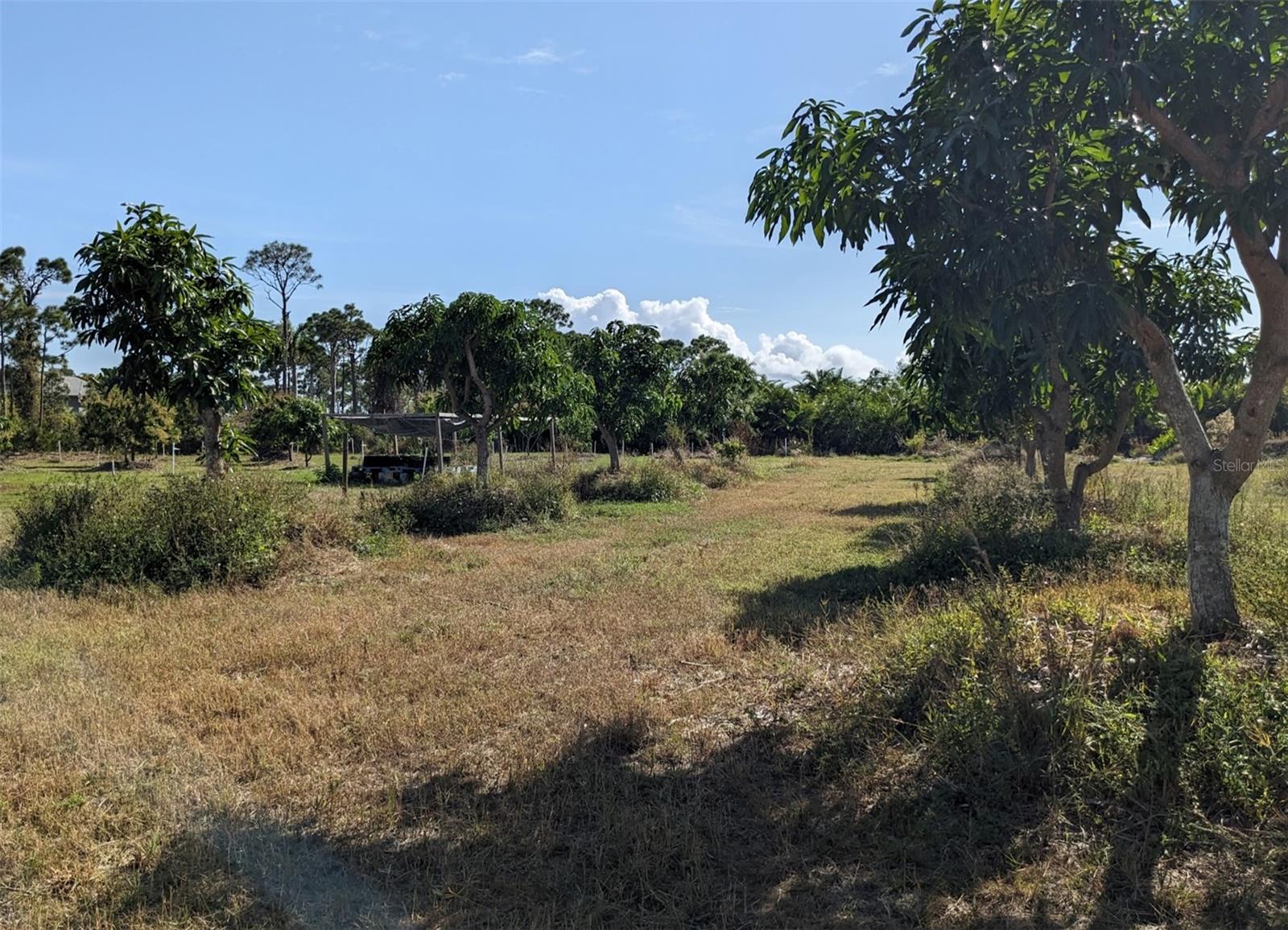 CAUGHEYS RANCHETTES - Land