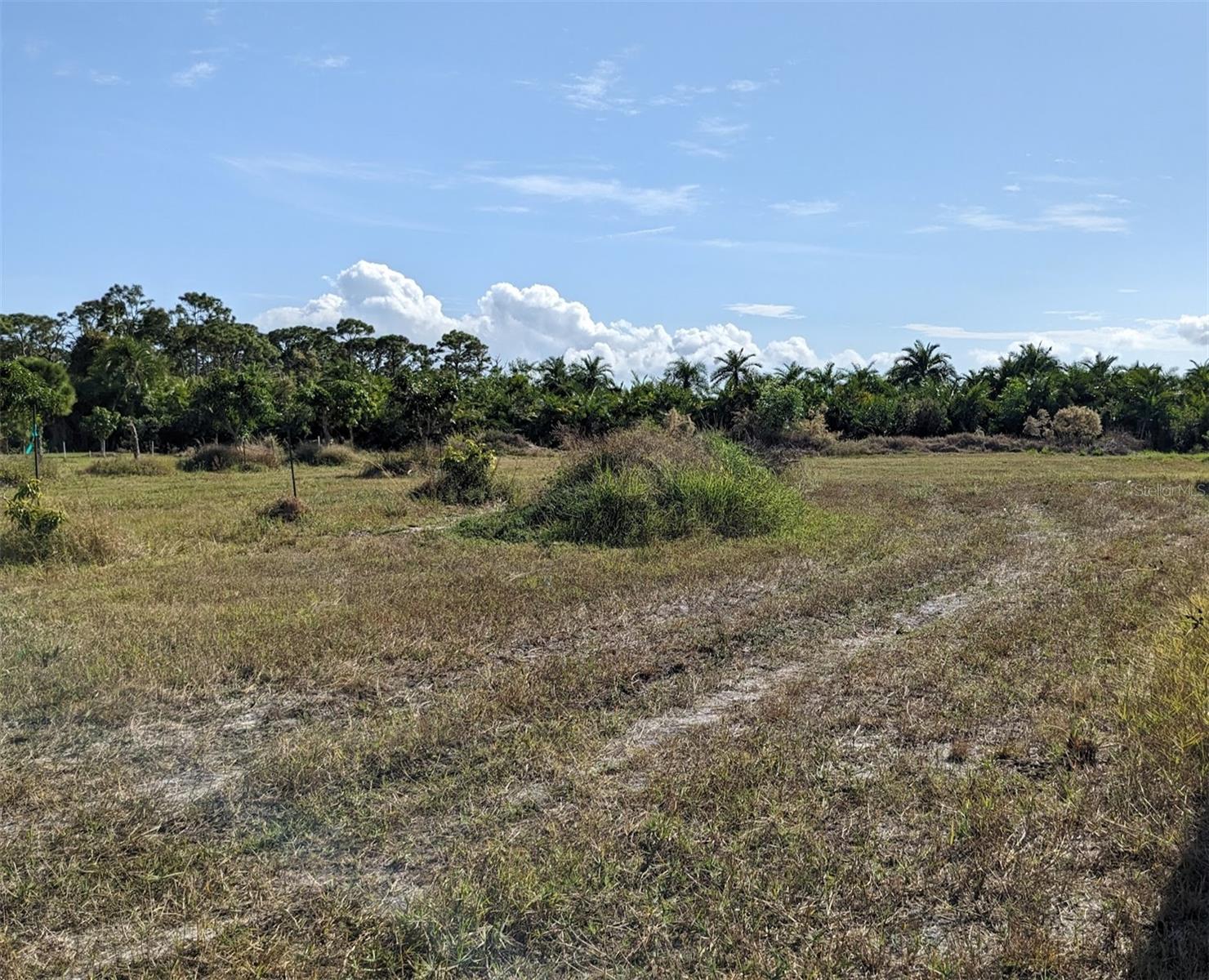 CAUGHEYS RANCHETTES - Land