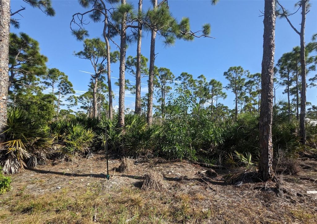 Photo of 4159 Sunshine Boulevard, St James City, FL 33956 (MLS # C7523454)