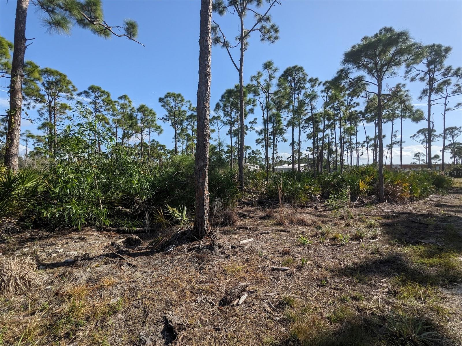 CAUGHEYS RANCHETTES - Land