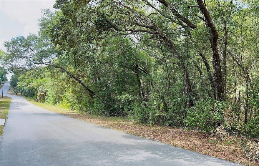 Wonderful opportunity in Lecanto, FL to build your home. Located near Crystal River, Inverness, and Homosassa. Enjoy nearby outdoor activities including fishing, boating, kayaking, hiking, and the area’s famous natural springs. A peaceful setting offering the best of Citrus County living.