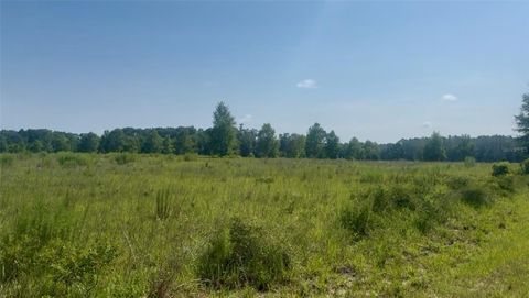 974 SW SHERLOCK TERRACE LAKE CITY FL 32024