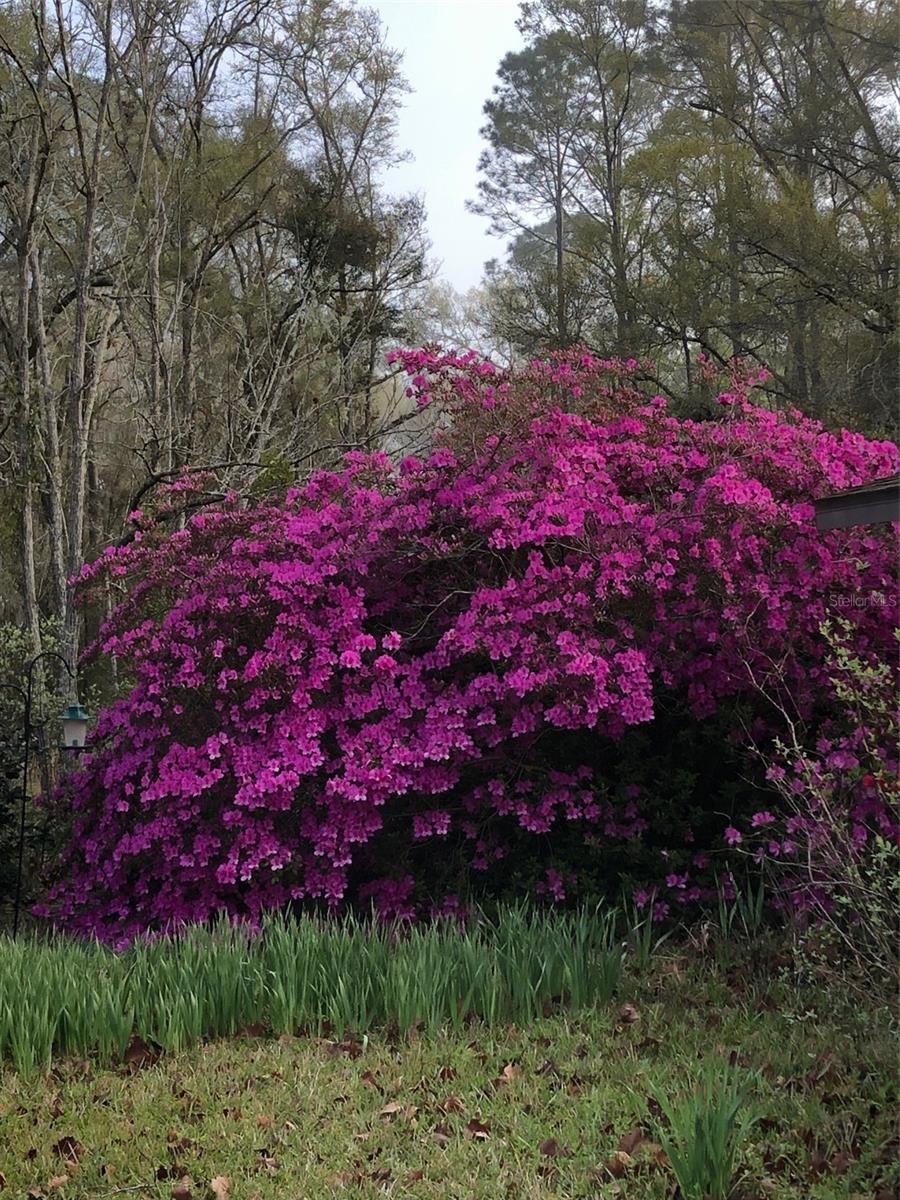 POTANO WOODS - Residential