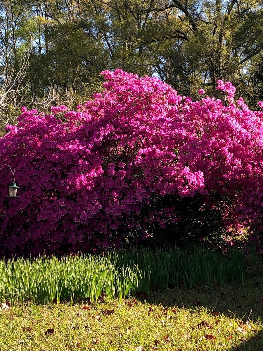 POTANO WOODS - Residential