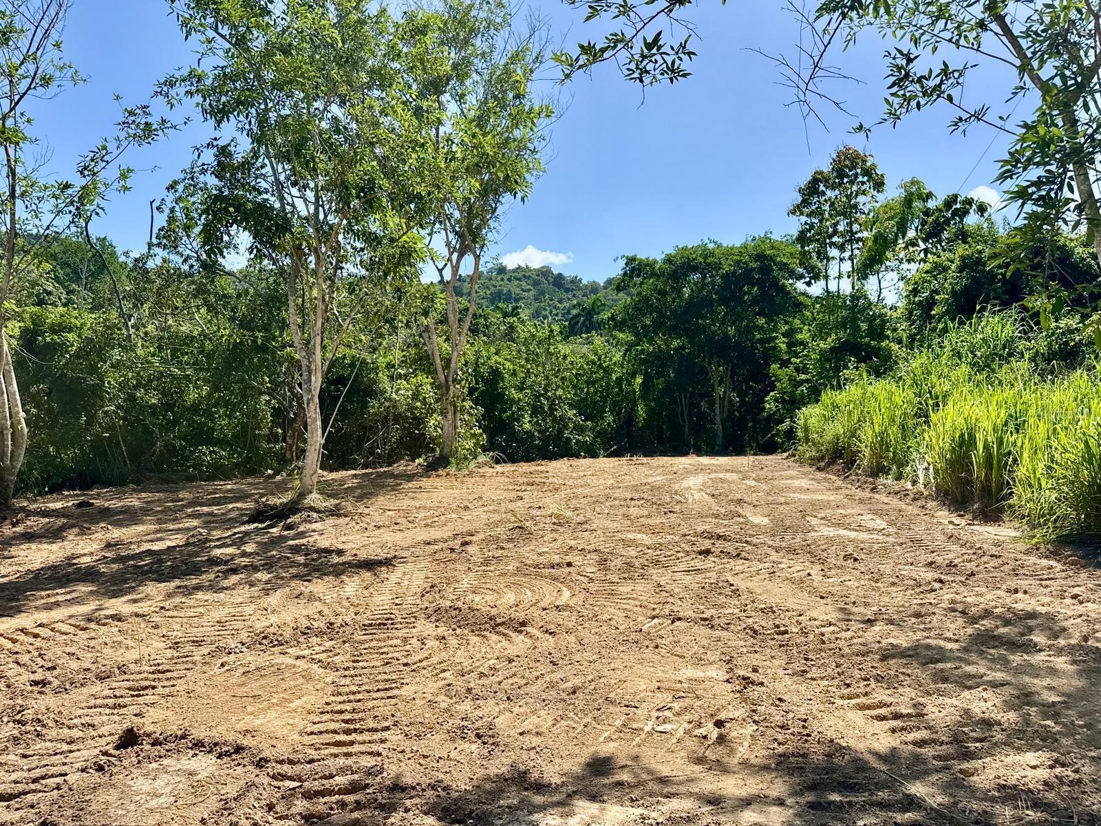 PR 796 Km 1.4 RIO CANAS WARD