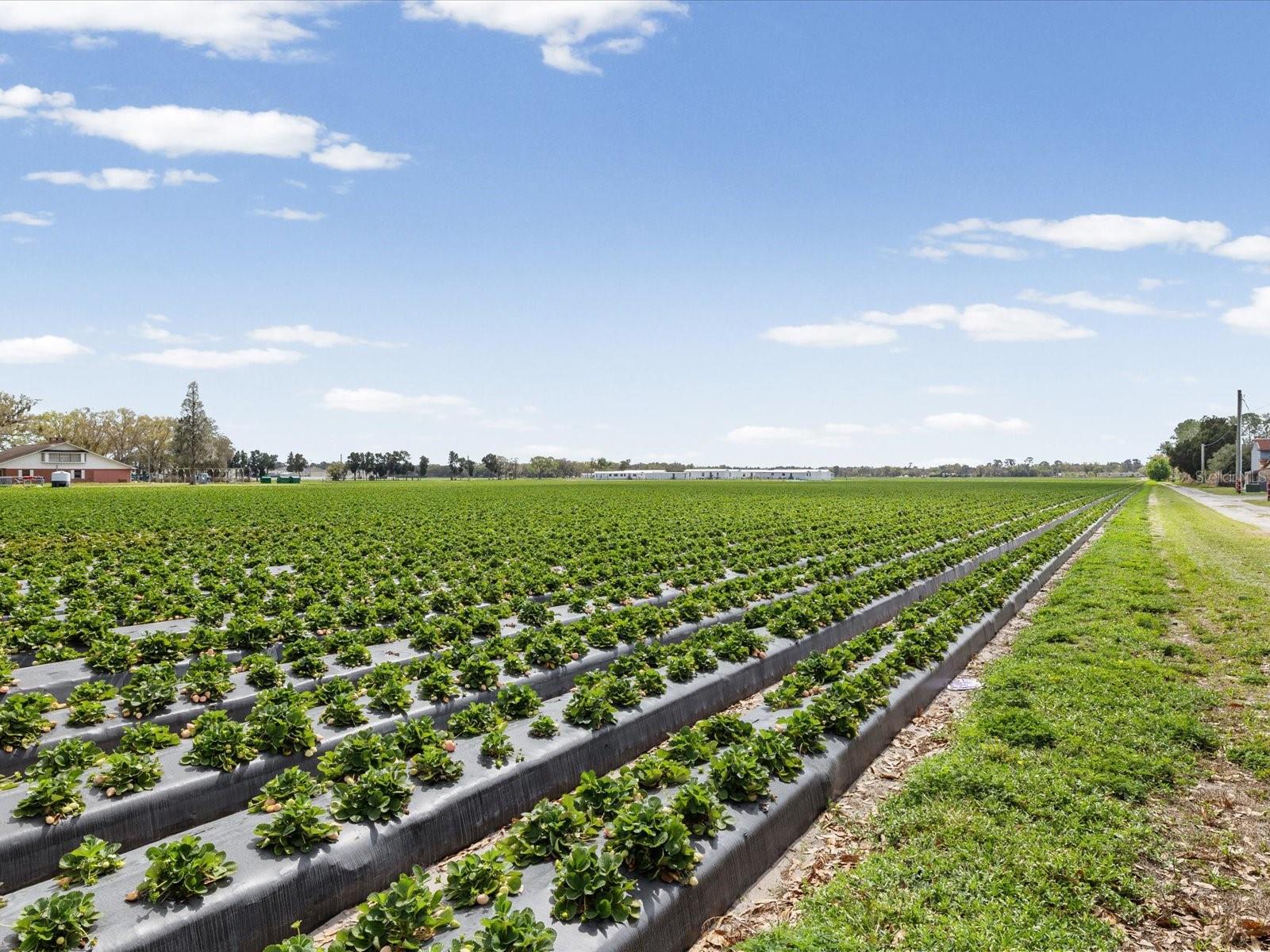 ALTERRA - Residential