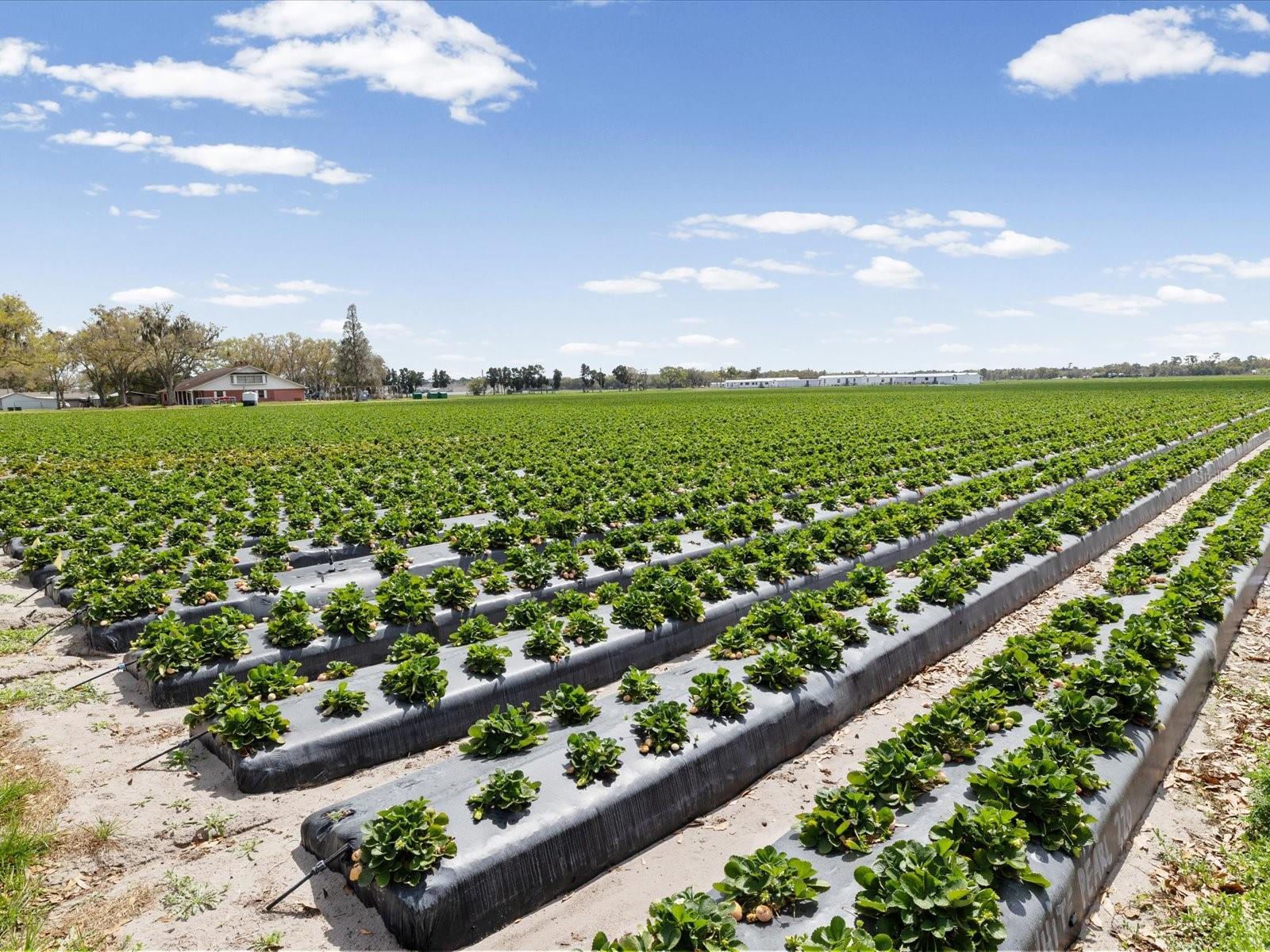 ALTERRA - Residential