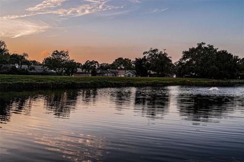 A home in CLEARWATER