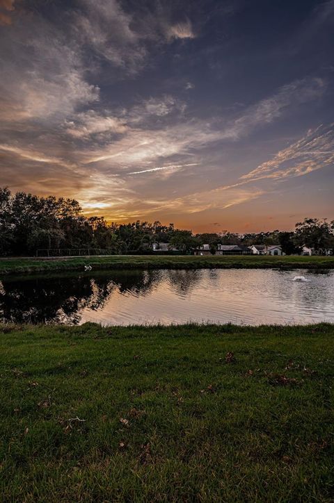 A home in CLEARWATER