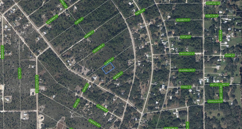 Photo of 1211 Clinton Street, Lake Placid, FL 33852 (MLS # A4698176)