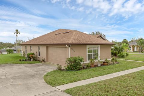 A home in MONTVERDE