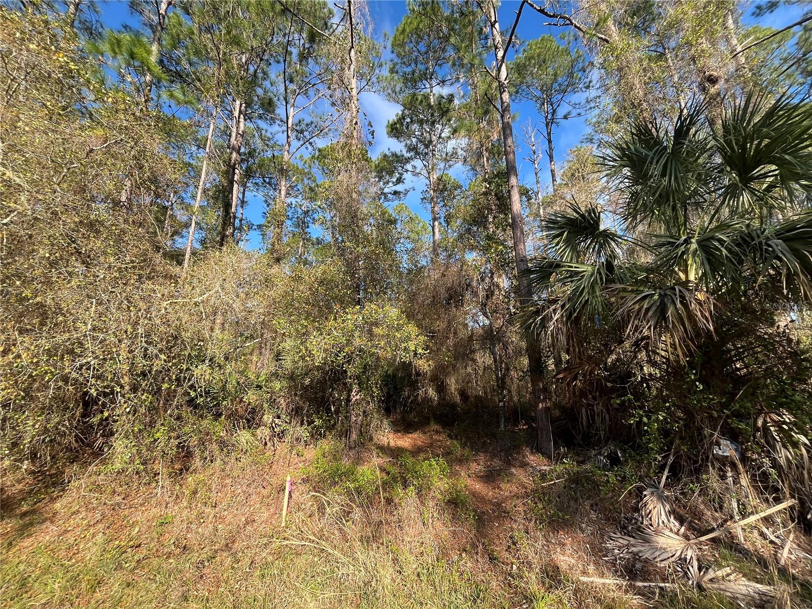 PARADISE LAKES SUB - Land