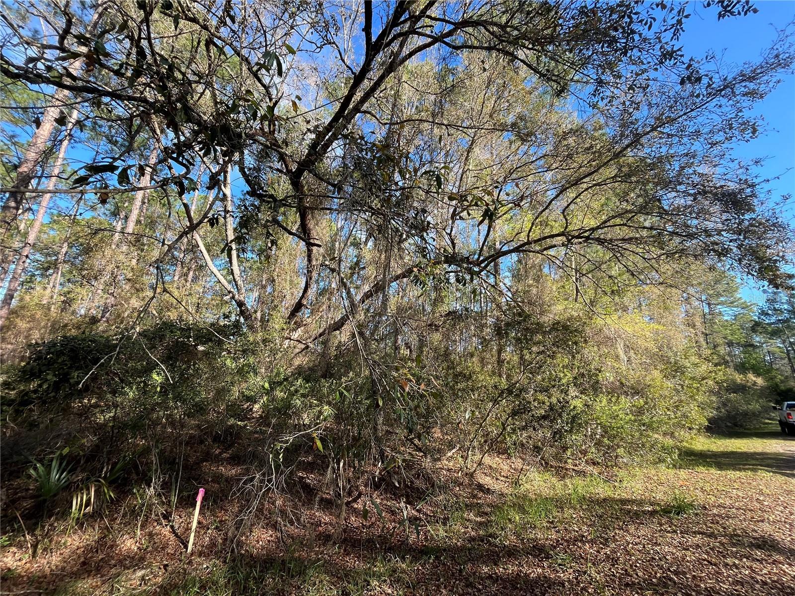 PARADISE LAKES SUB - Land