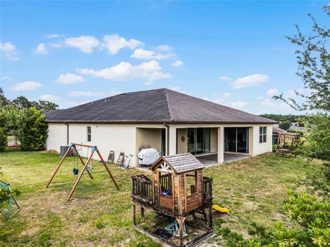 A home in MOUNT DORA