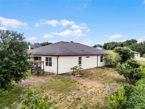 A home in MOUNT DORA