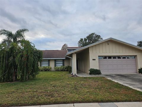 A home in PLANT CITY