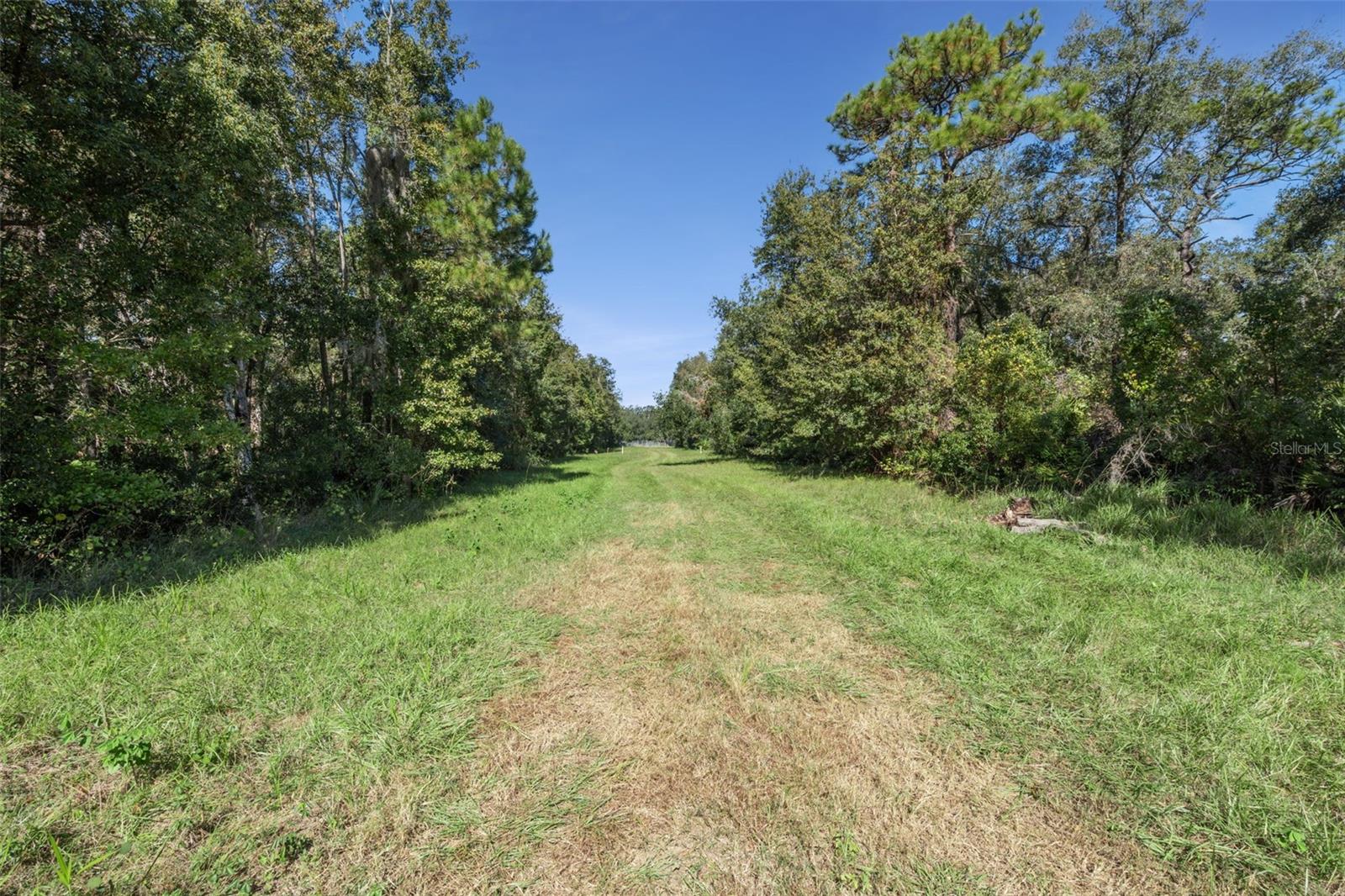 WEKIVA FOREST TRAILS - Land