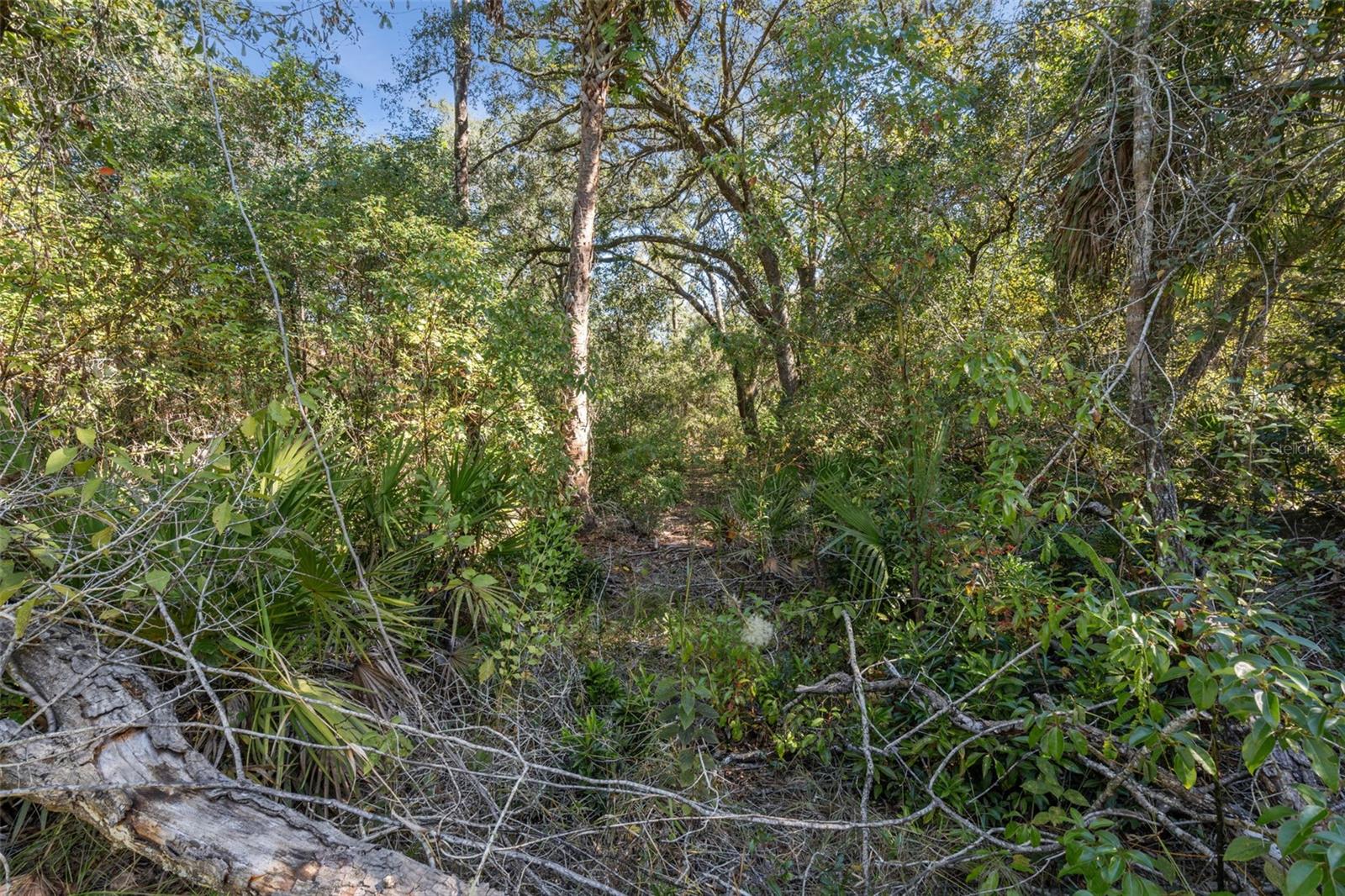 WEKIVA FOREST TRAILS - Land