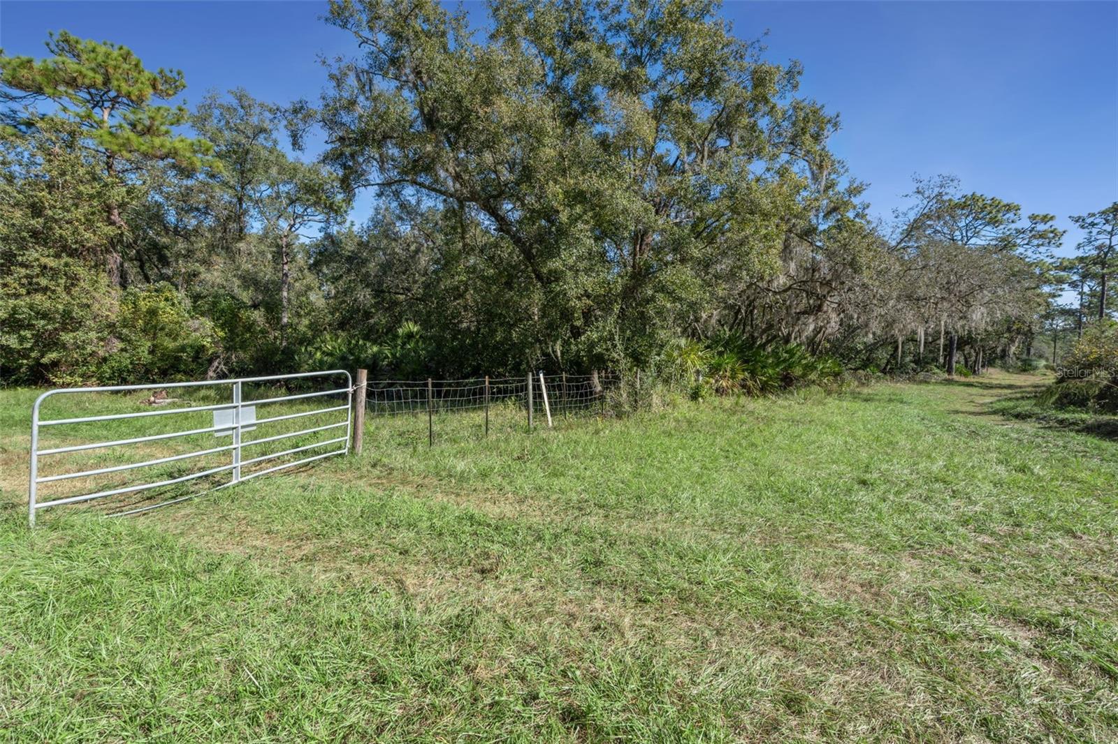 WEKIVA FOREST TRAILS - Land