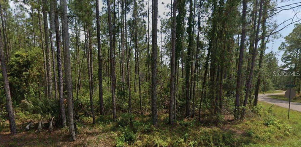 Photo of 6450 Merrick Drive, Sebring, FL 33872 (MLS # O6430651)
