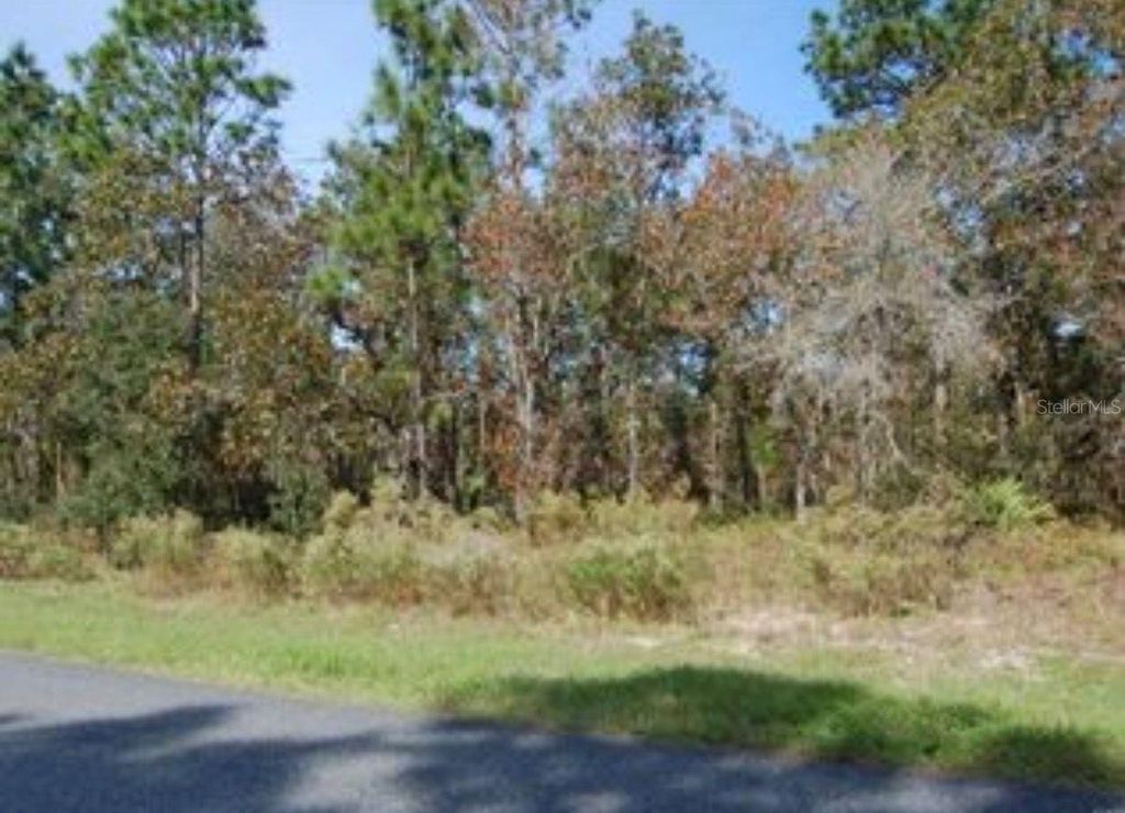 Photo of 2084 W Riley Drive, Citrus Springs, FL 34434 (MLS # O6364824)