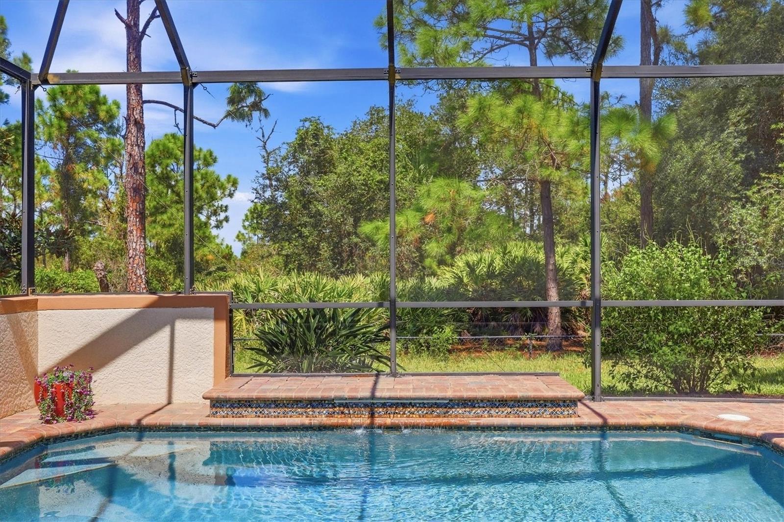 13115 PRESERVE COURT