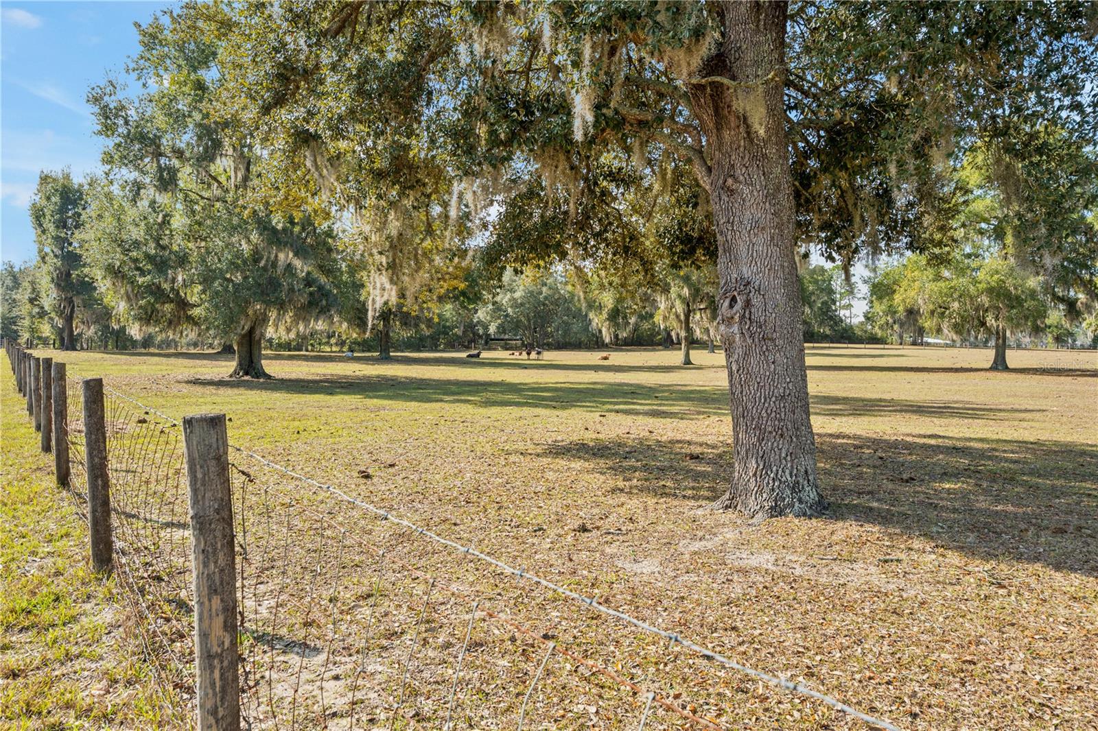 BAHIA FARMS - Residential