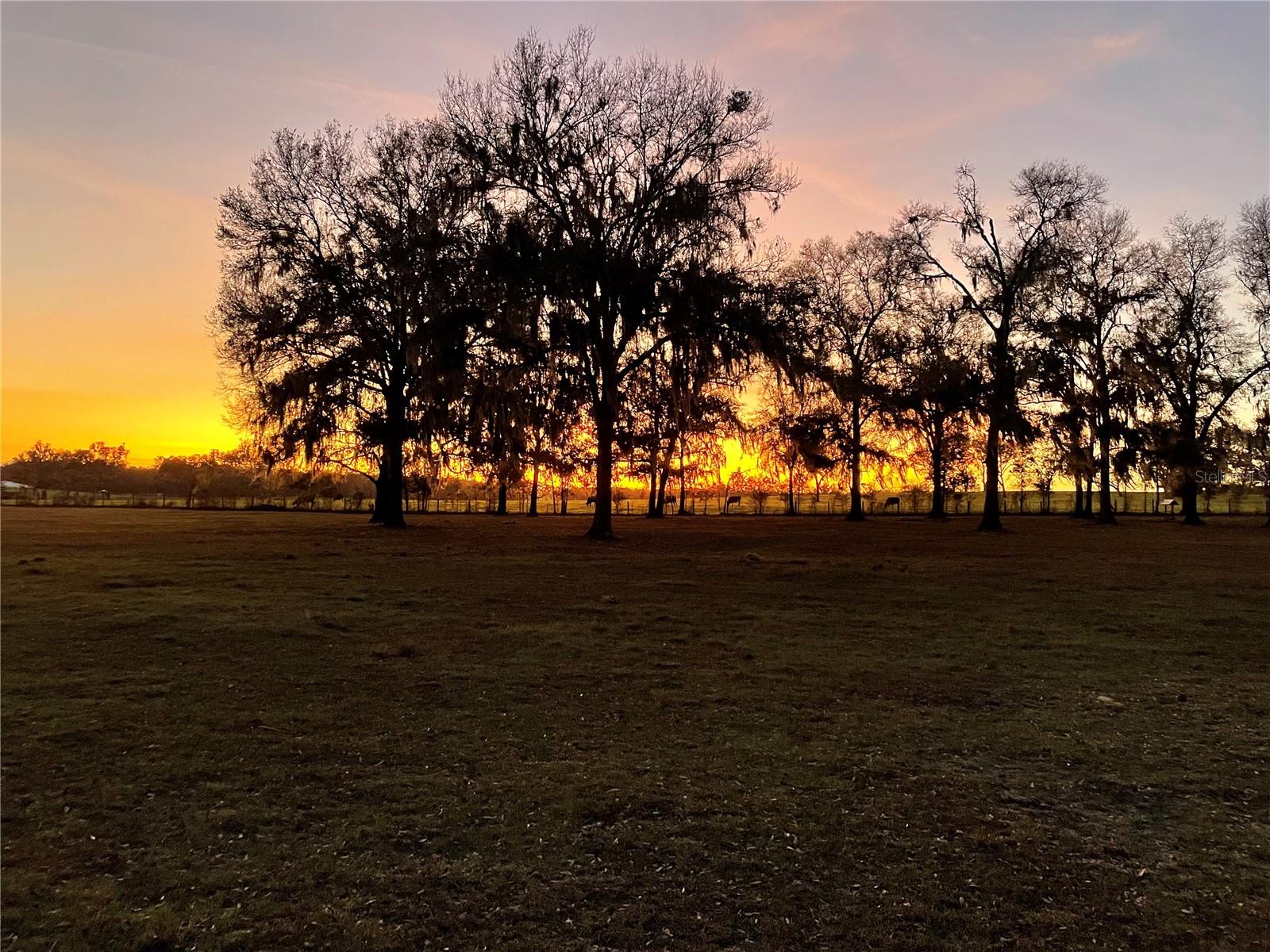 BAHIA FARMS - Residential